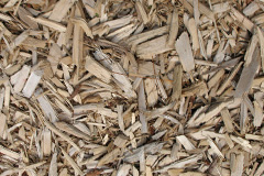 biomass boilers Belcoo